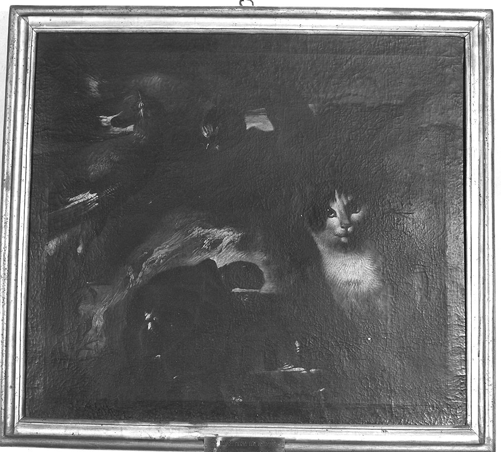 cornice, coppia - ambito parmense (fine sec. XIX)