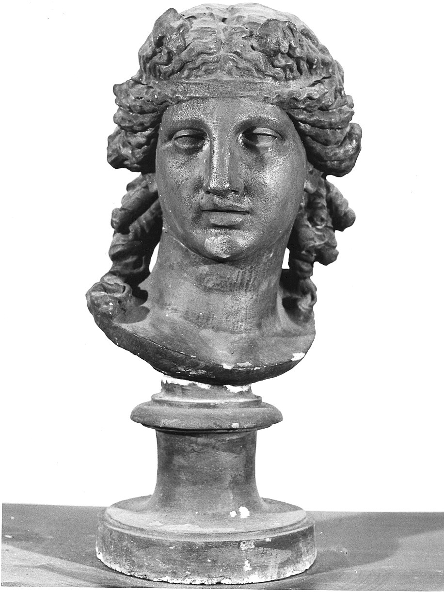 Testa di donna (busto) - ambito parmense (seconda metà sec. XIX)