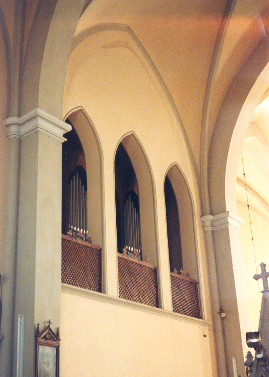 organo di Vegezzi Bossi (sec. XX)