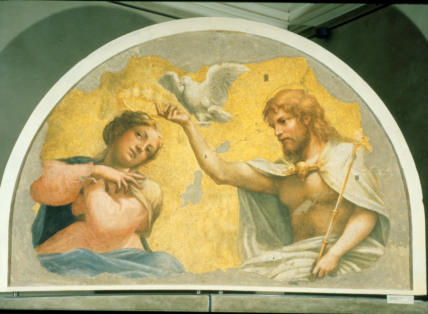 incoronazione di Maria Vergine (dipinto) di Allegri Antonio detto Correggio (sec. XVI)