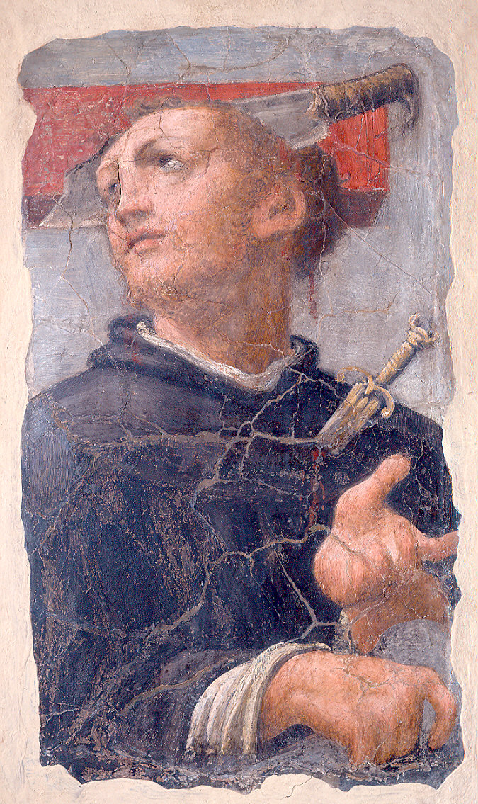 san Pietro martire (dipinto) di Anselmi Michelangelo detto Michelangelo da Lucca (sec. XVI)