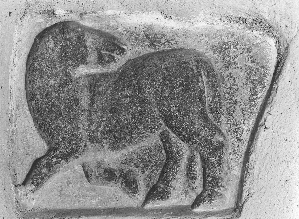 asino (?) (rilievo) - ambito parmense (sec. XIII)