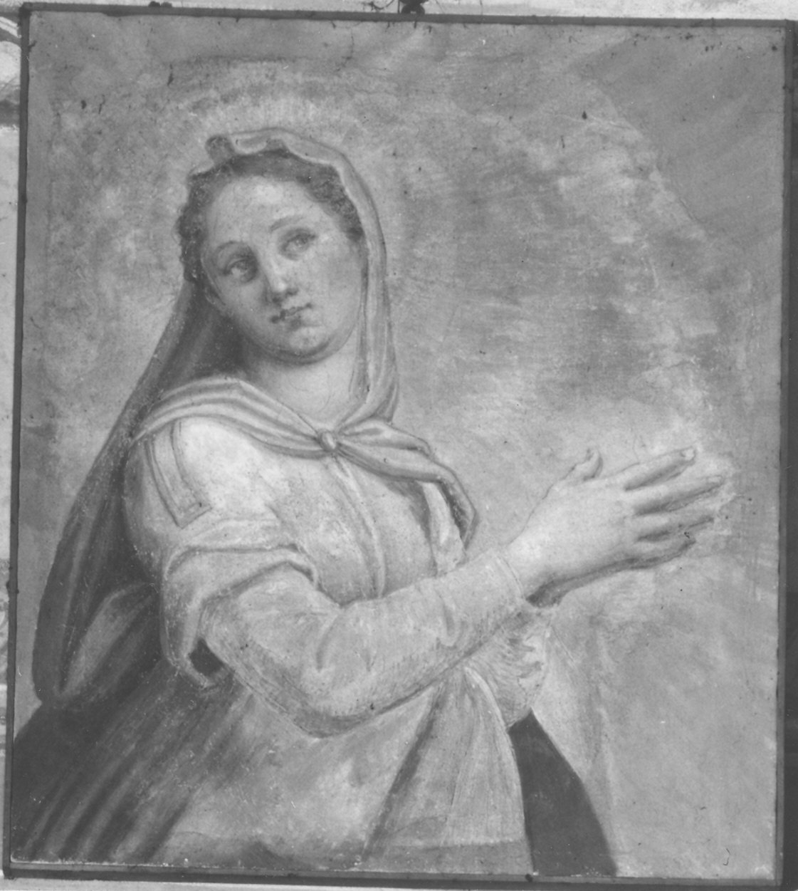 Madonna Immacolata (dipinto, frammento) di Campi Antonio (sec. XVI)