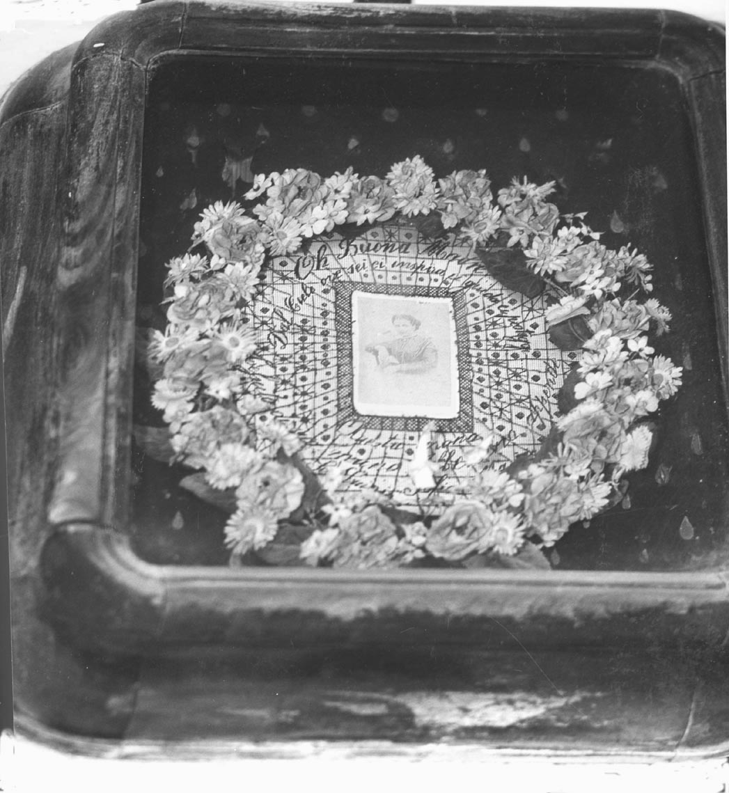 dipinto - ambito parmense (ultimo quarto sec. XIX)