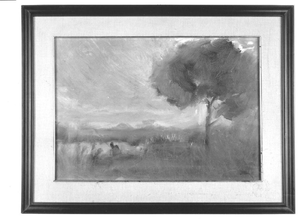 Paesaggio con albero e pescatore, paesaggio lacustre (dipinto, opera isolata) di Borlenghi Aurelio - ambito parmense (terzo quarto sec. XX)