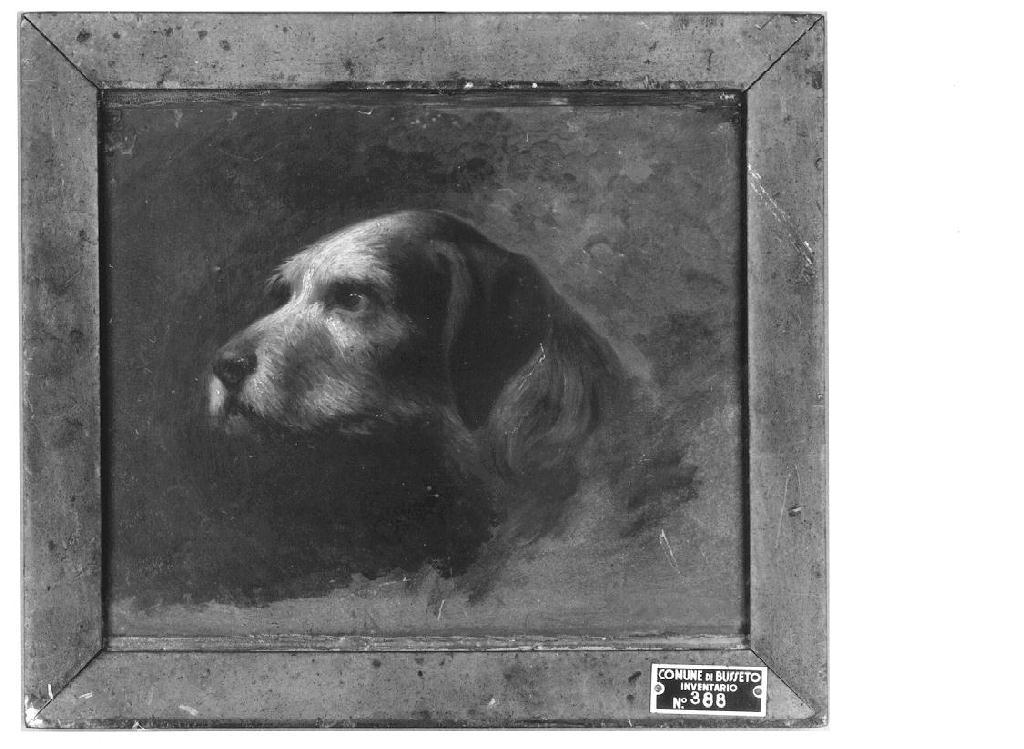 Studio di cane, cane (dipinto, opera isolata) di Levi Gioacchino (sec. XIX)