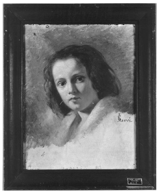 Testa di fanciulla, testa di fanciulla (dipinto, opera isolata) di Levi Gioacchino (terzo quarto sec. XIX)