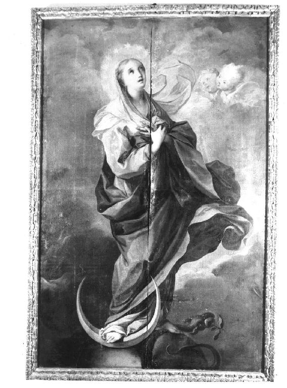 Immacolata Concezione (dipinto) di Stern Ignazio (attribuito) (primo quarto sec. XVIII)