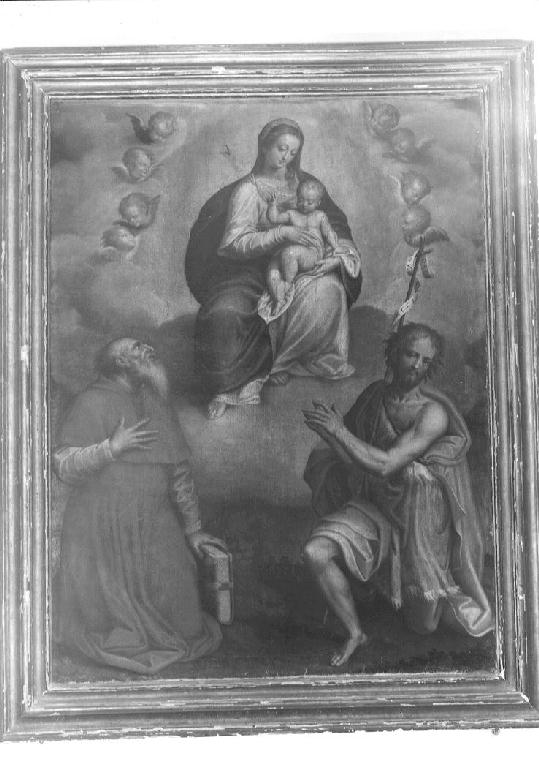 Madonna con Bambino, San Girolamo e San Giovanni Battista (dipinto, opera isolata) di Campi Bernardino (sec. XVI)