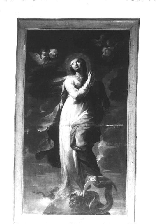 Madonna Immacolata (dipinto) di Ruta Clemente (secondo quarto sec. XVIII)