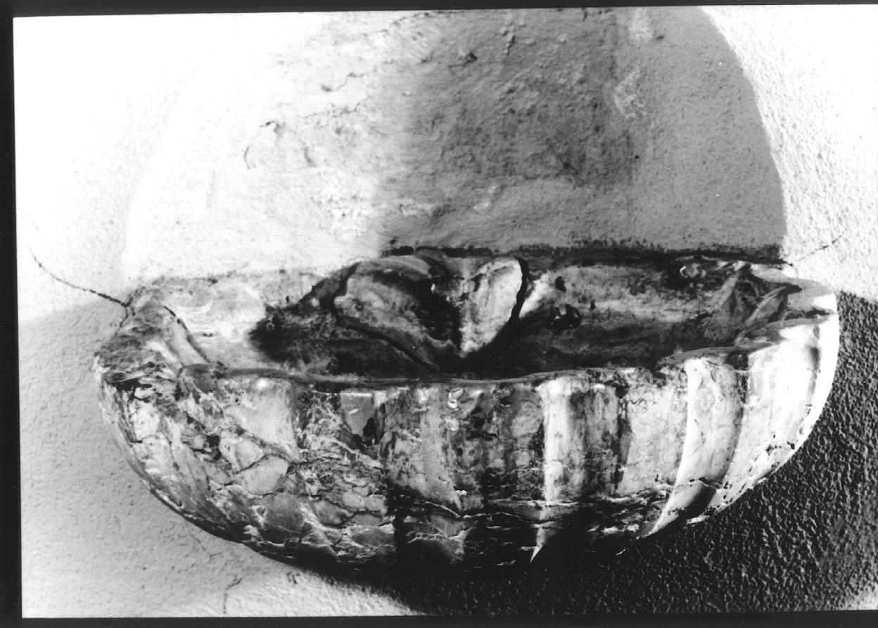 acquasantiera - a conchiglia, serie - ambito parmense (sec. XVIII)