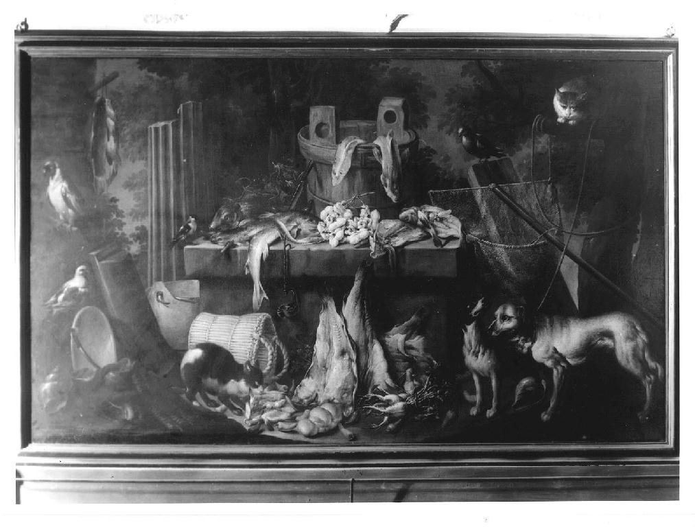 Pranzo di magro, natura morta con pesci, ortaggi, cani, gatti e uccelli (dipinto) di Boselli Felice (fine sec. XVII)