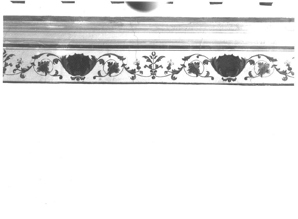 motivi decorativi vegetali (decorazione pittorica, complesso decorativo) - ambito parmense (sec. XIX)