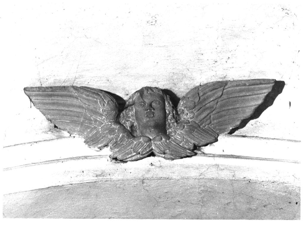 cherubino (rilievo) - ambito parmense (metà sec. XVIII)