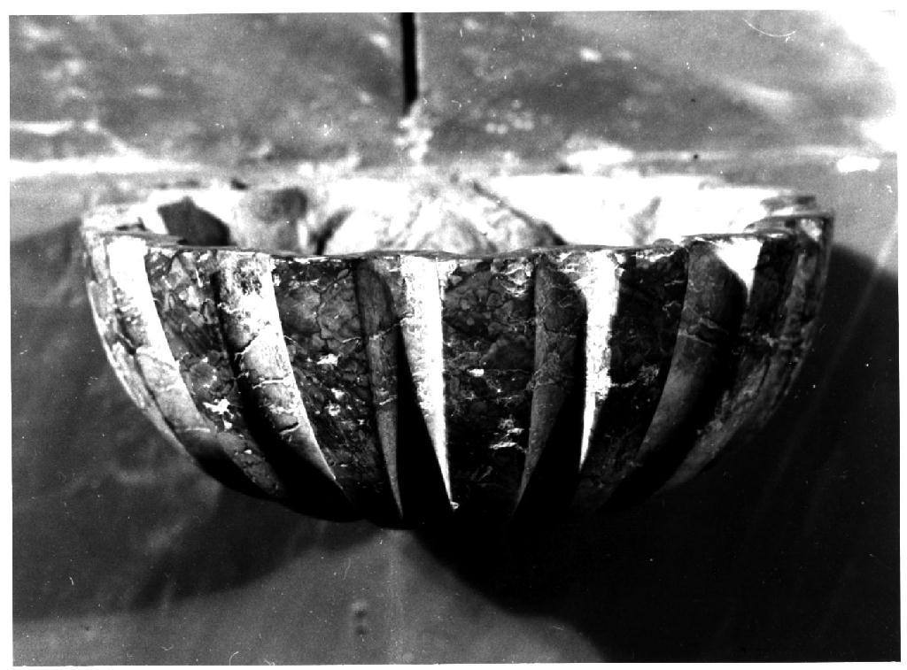 acquasantiera - a conchiglia, serie - ambito parmense (sec. XVIII)