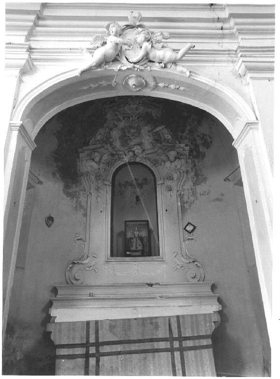 cherubini e motivi decorativi fitomorfi (decorazione plastica) di Rusca Fortunato (seconda metà sec. XVIII)