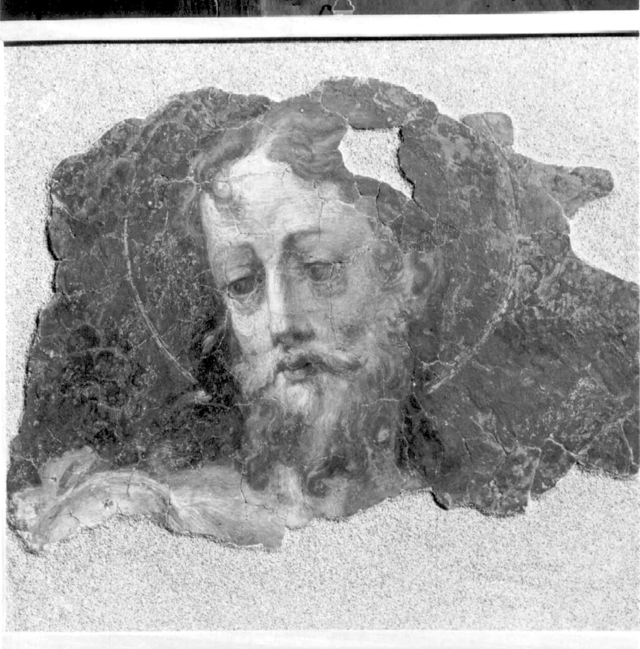 San Giovanni Battista (dipinto) di Mazzola Francesco detto Parmigianino (attribuito) (sec. XVI)