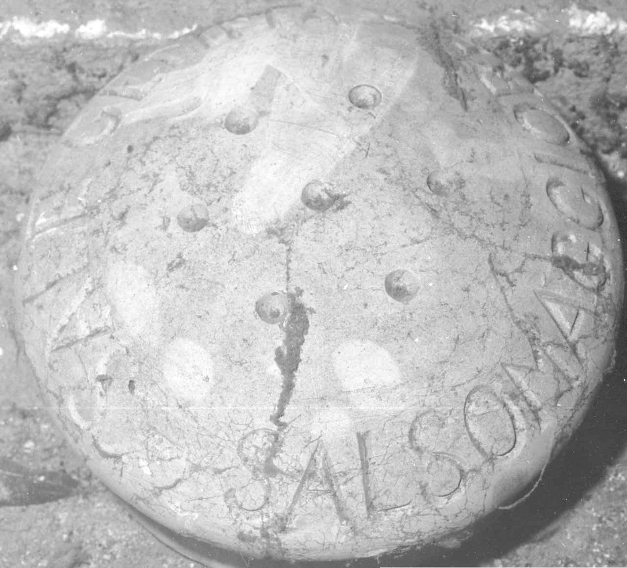 modello di decorazione, serie - ditta fornaci Chini, Borgo San Lorenzo (Fi) (primo quarto sec. XX)