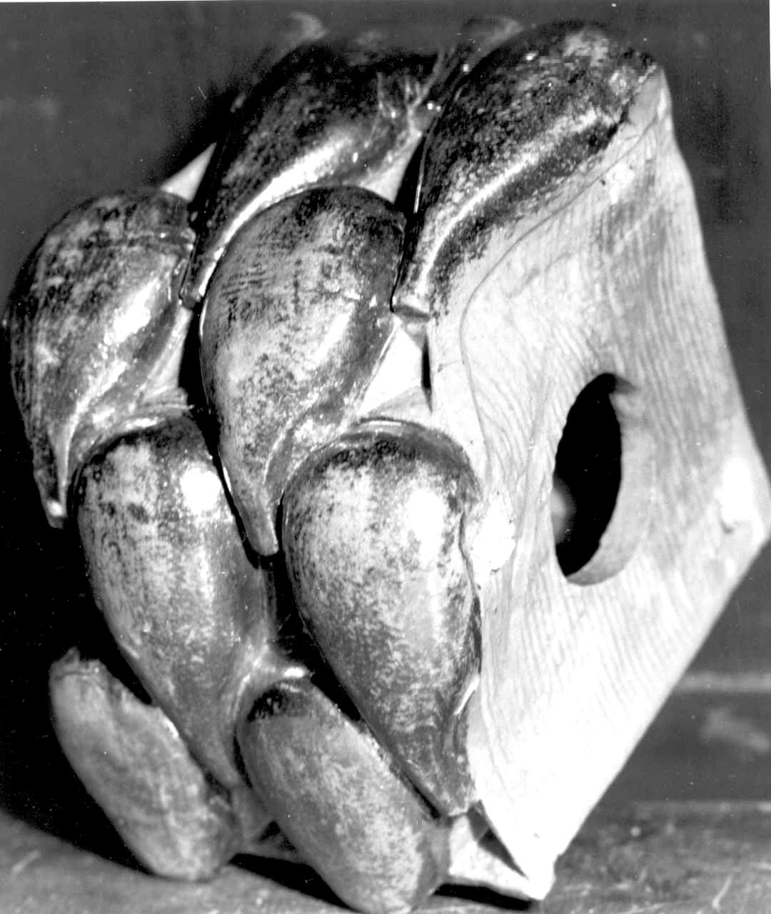 decorazione plastica, serie - ditta fornaci Chini, Borgo San Lorenzo (Fi) (primo quarto sec. XX)