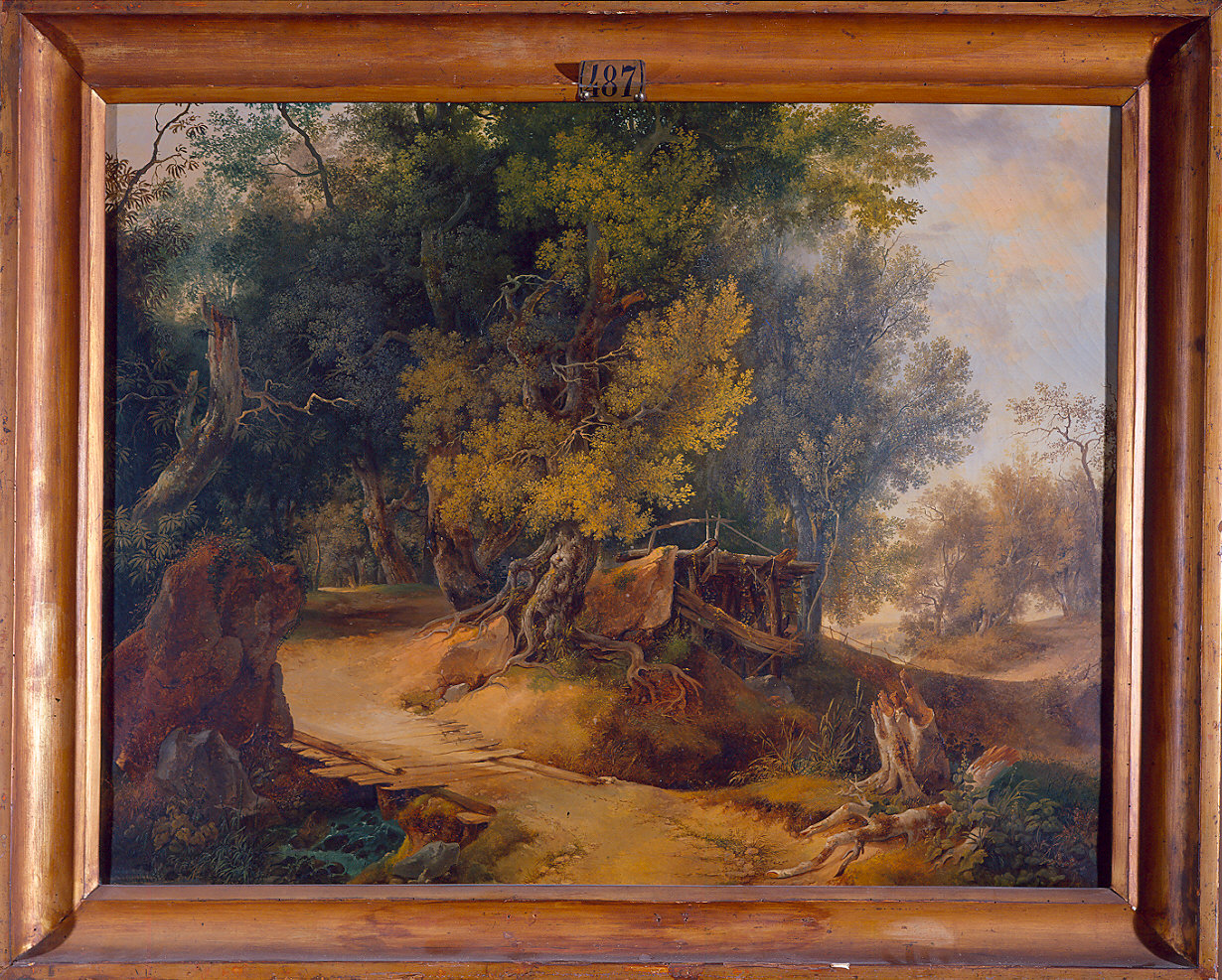 Paesaggio boscoso (dipinto) di Boccaccio Giuseppe (sec. XIX)