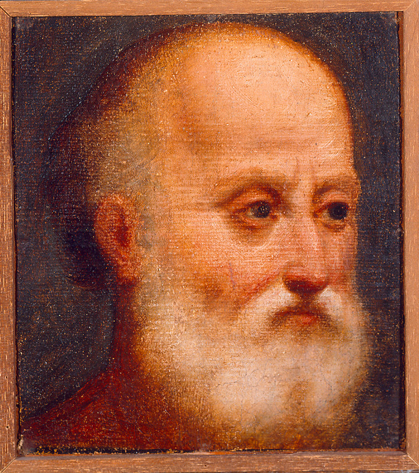 Testa di vecchio (dipinto) di De Sacchis Giovanni Antonio detto Pordenone (primo quarto sec. XVI)