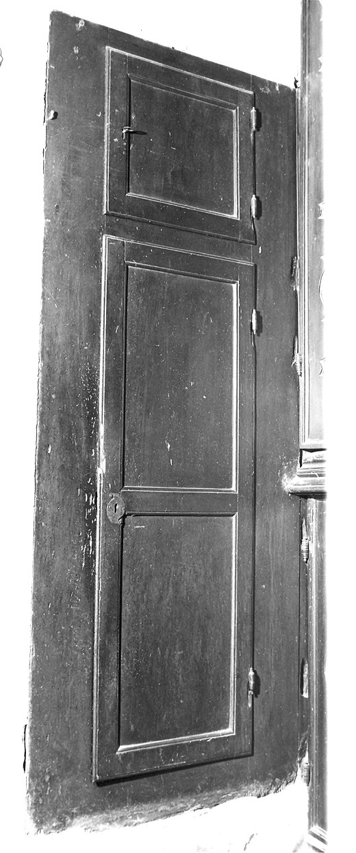 anta di armadio, coppia - ambito piacentino (ultimo quarto sec. XIX)