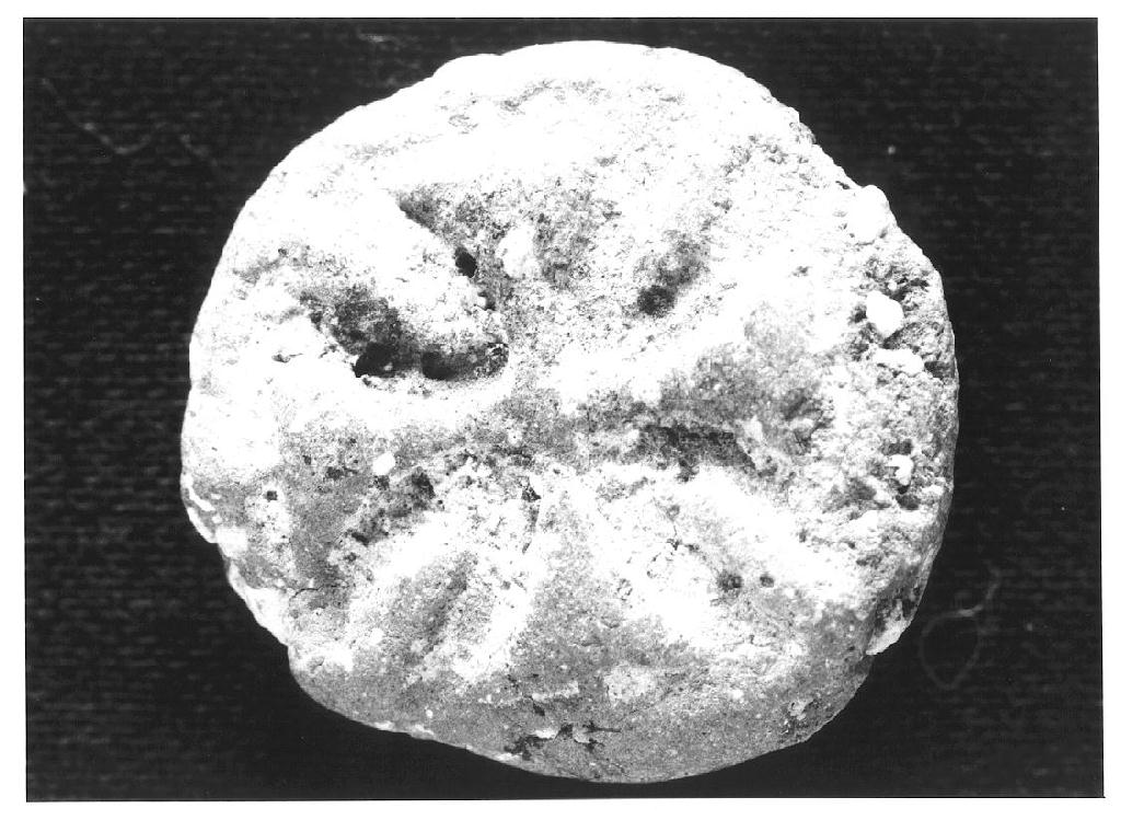 croce (ampolla di pellegrinaggio) - ambito siriaco-palestinese (secc. VI/ VII)