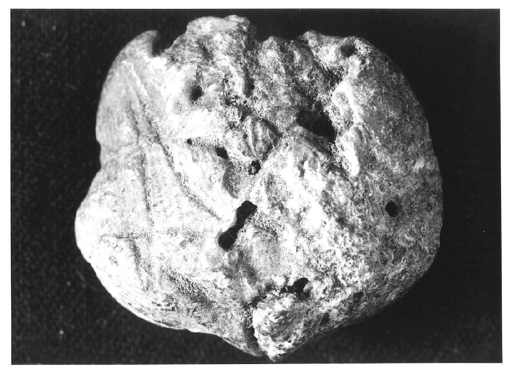 reliquia - ambito siriaco-palestinese (secc. VII/ XI)