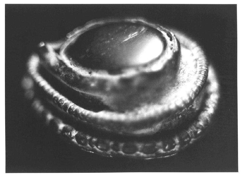 reliquiario - ambito siriaco-palestinese (secc. VI/ VII)