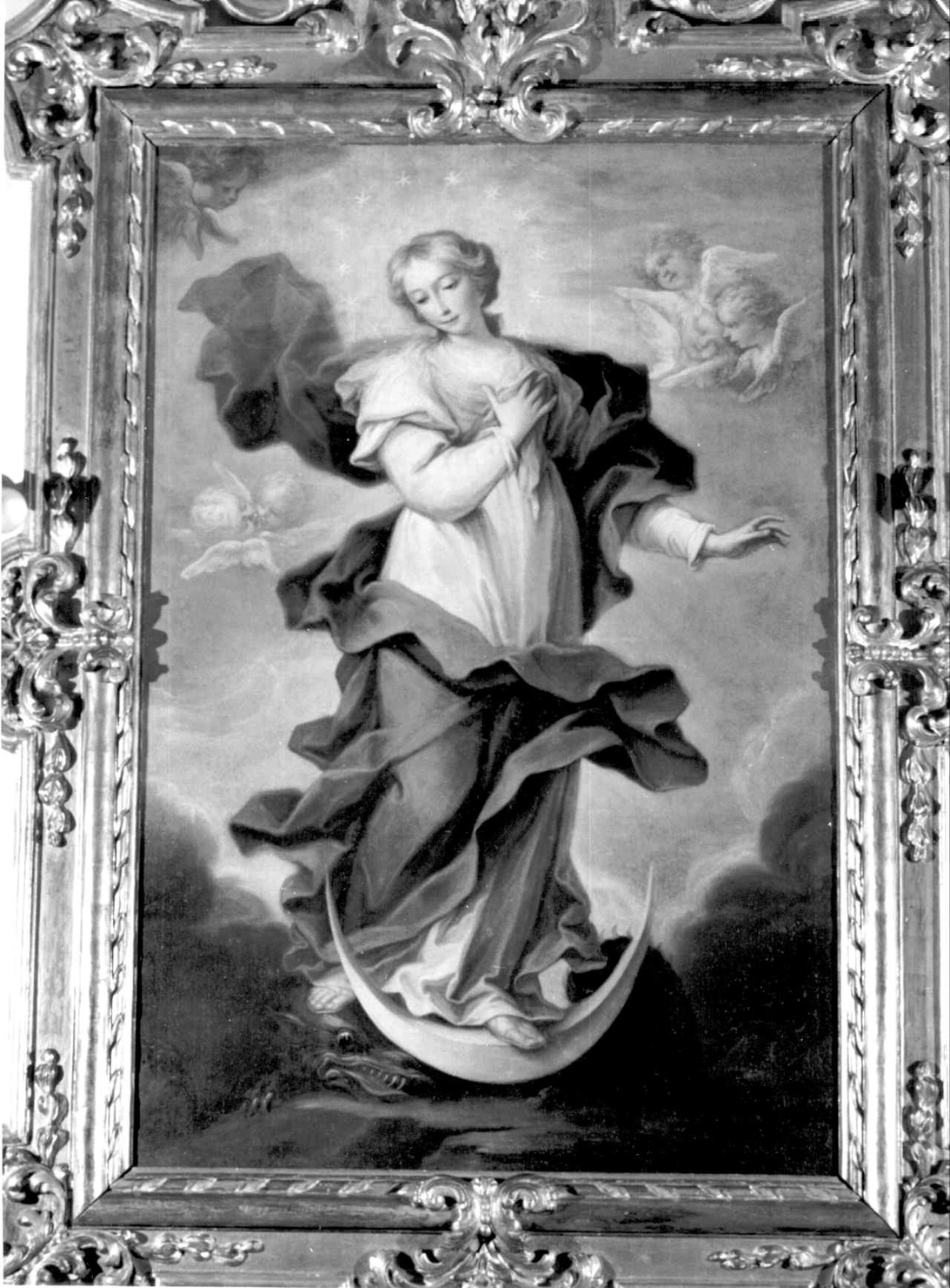 Immacolata Concezione (dipinto) di Boni Giacomo Antonio (attribuito), Franceschini Marco Antonio (attribuito) (sec. XVIII)