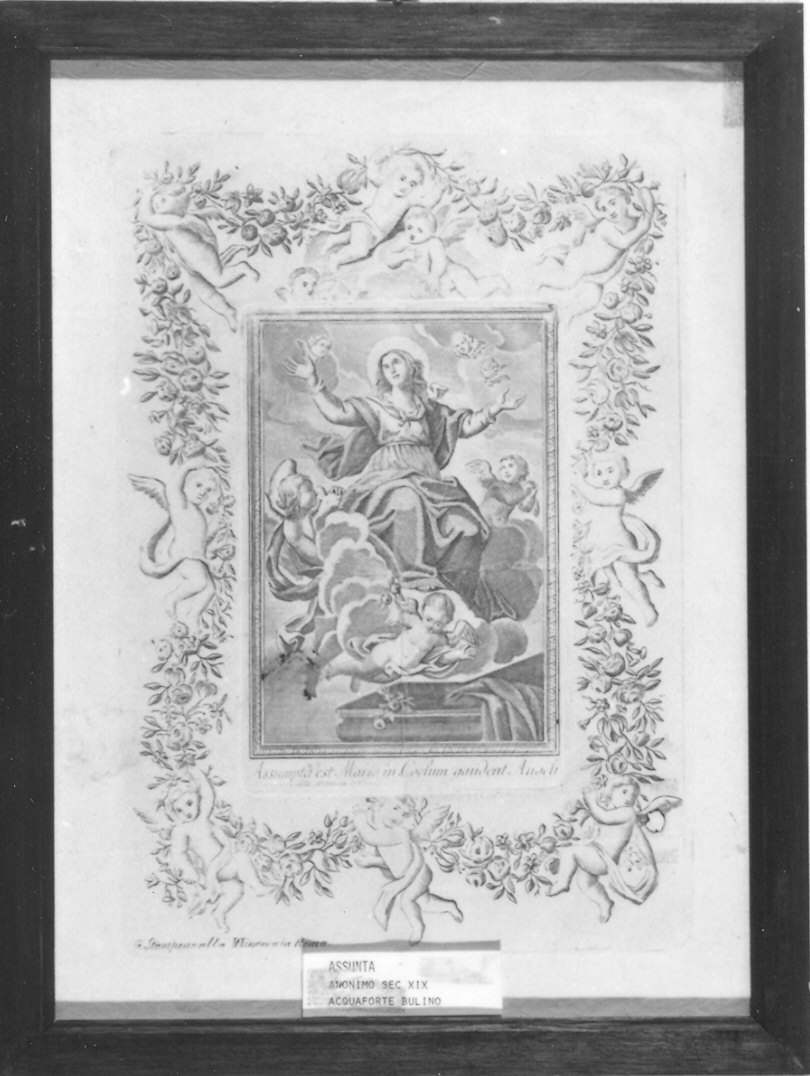 assunzione della Madonna (stampa) - ambito emiliano (fine/inizio secc. XVIII/ XIX)