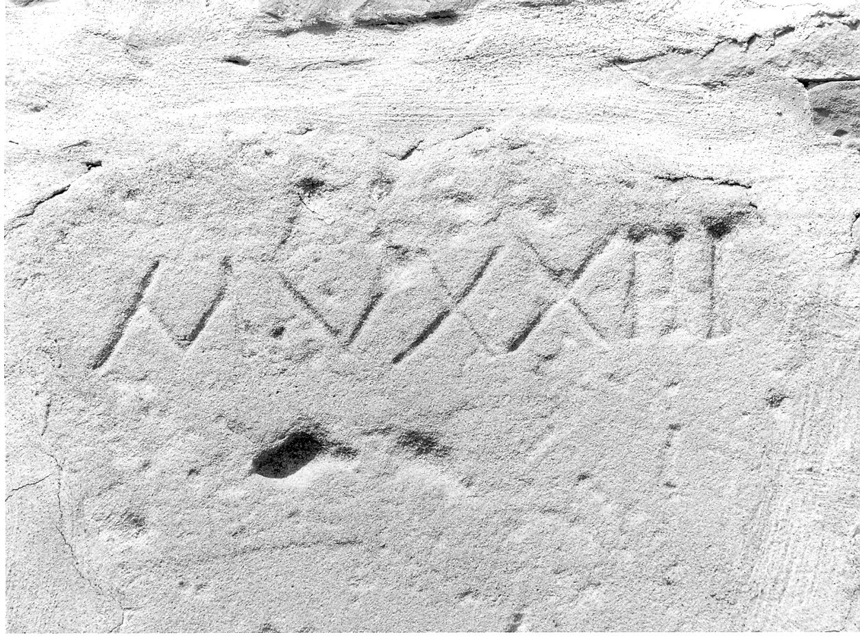 concio - ambito parmense (sec. XVI)