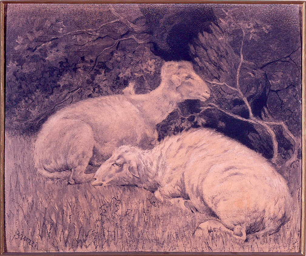 due pecore in riposo ai margini del bosco (disegno) di Bruzzi Stefano (fine sec. XIX)
