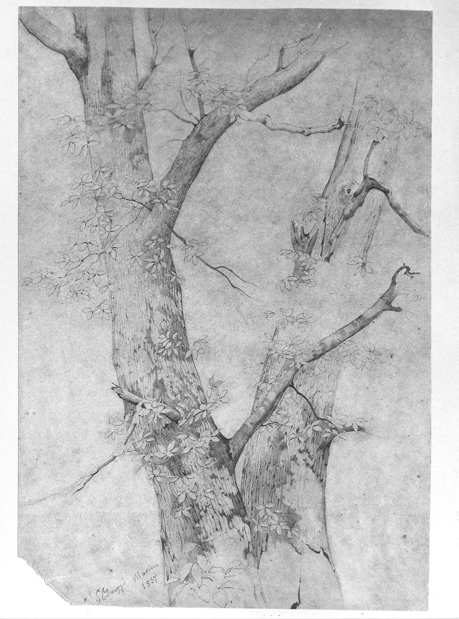 piante (disegno) di Bruzzi Stefano (sec. XIX)