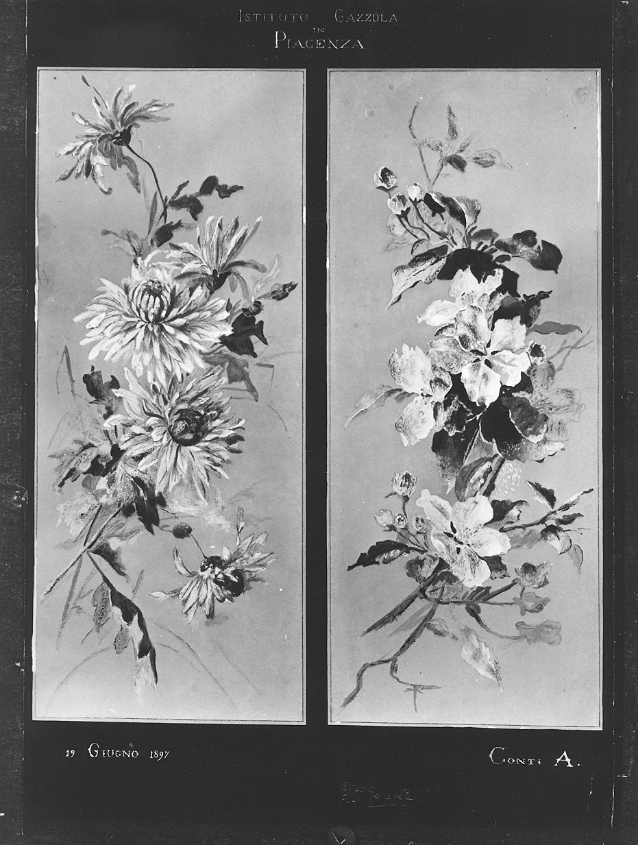 fiori (disegno, coppia) di Conti A (sec. XIX)