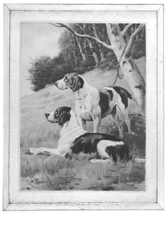 cani da caccia (disegno, serie) di De Condamy Charles Ferdinand (seconda metà sec. XIX)