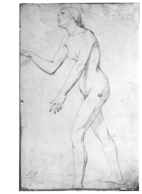 Figura femminile di profilo, figura femminile (disegno, opera isolata) di Levi Gioacchino (metà sec. XIX)