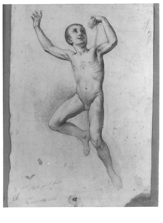 Studio per Ariel, giovane nudo (disegno, opera isolata) di Levi Gioacchino (terzo quarto sec. XIX)
