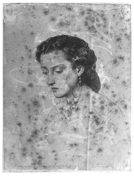 Testa di donna, testa di donna (disegno, opera isolata) di Levi Gioacchino (terzo quarto sec. XIX)