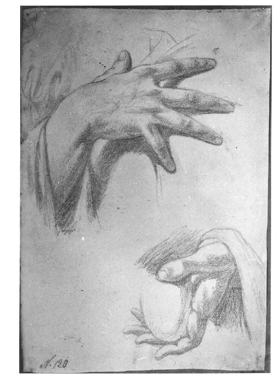 Studio di mani, studio di mani (disegno, opera isolata) di Levi Gioacchino (metà sec. XIX)