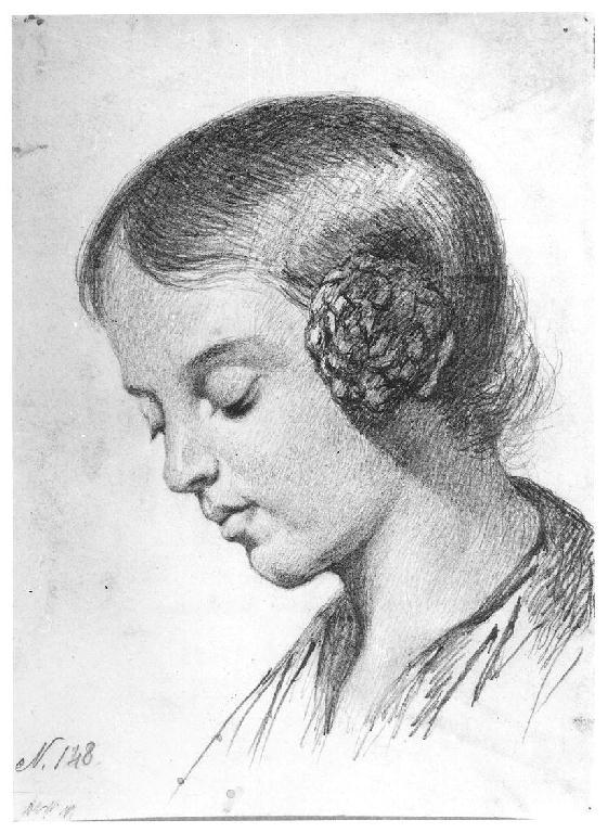 Testa di fanciulla, testa di fanciulla (disegno, opera isolata) di Levi Gioacchino (seconda metà sec. XIX)