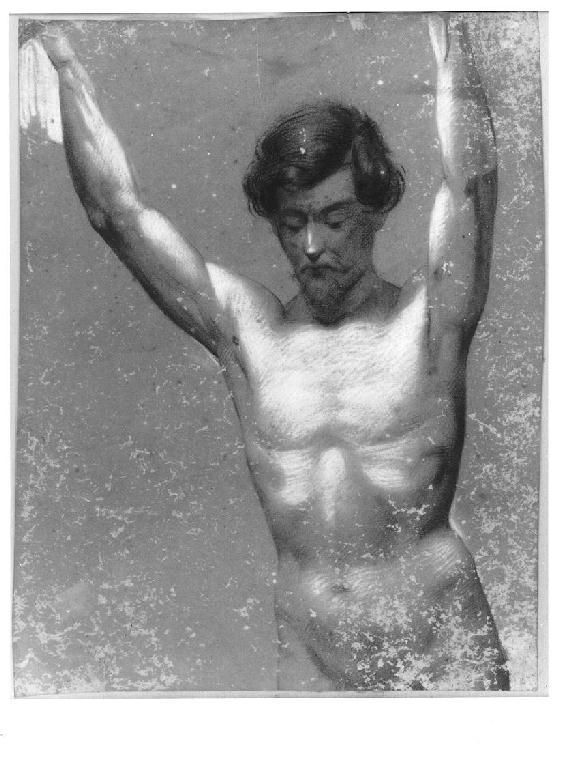 Studio di nudo maschile fino alle anche, figura maschile (disegno, opera isolata) di Levi Gioacchino (metà sec. XIX)