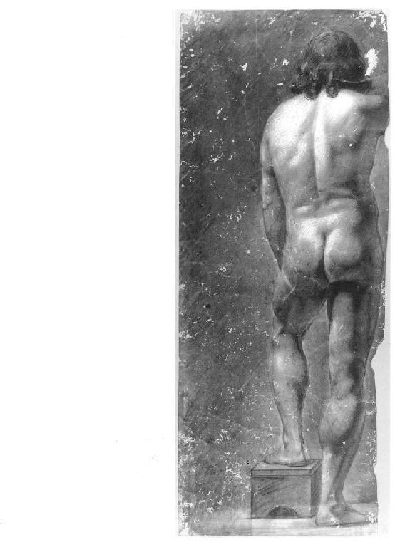 Studio di nudo di schiena, giovane nudo (disegno, opera isolata) di Levi Gioacchino (metà sec. XIX)