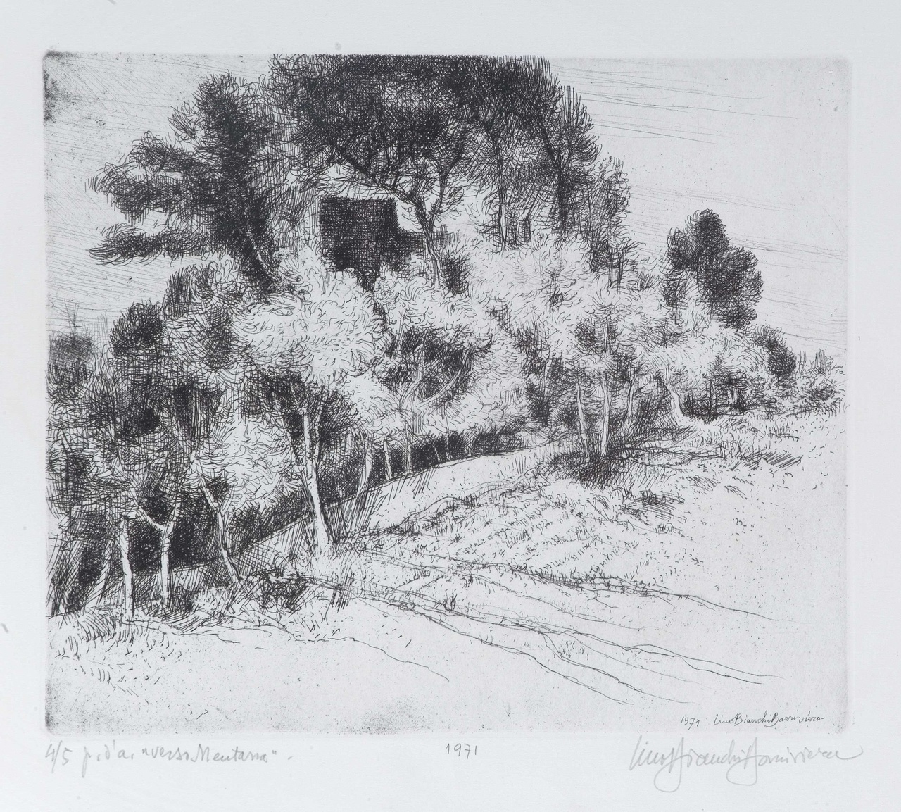 Verso Mentana, paesaggio con alberi (stampa) di Bianchi Barriviera Lino (sec. XX)