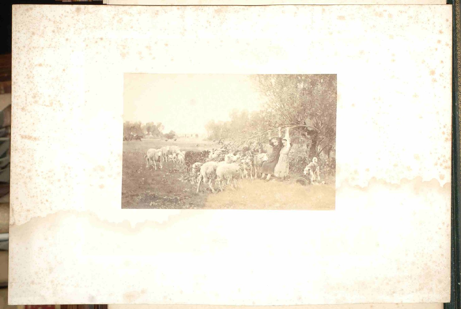 scena pastorale (stampa) - ambito francese (?) (sec. XIX)