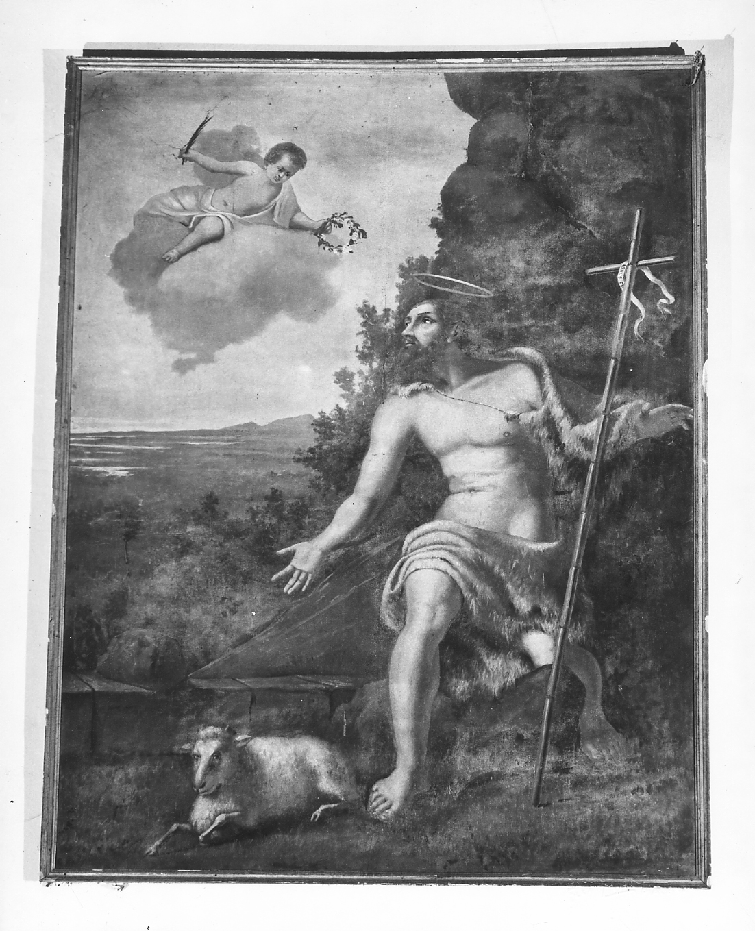 San Giovanni Battista nel deserto (dipinto) - ambito piacentino (sec. XVIII)