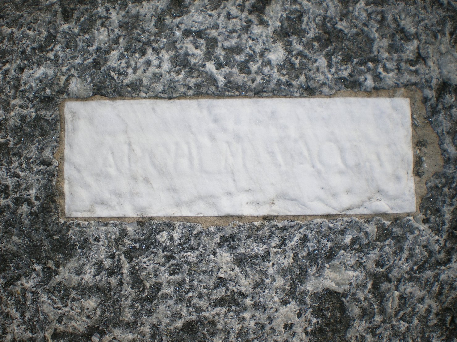 monumento di Vacca Mario, Marzaroli Alessandro (sec. XX)