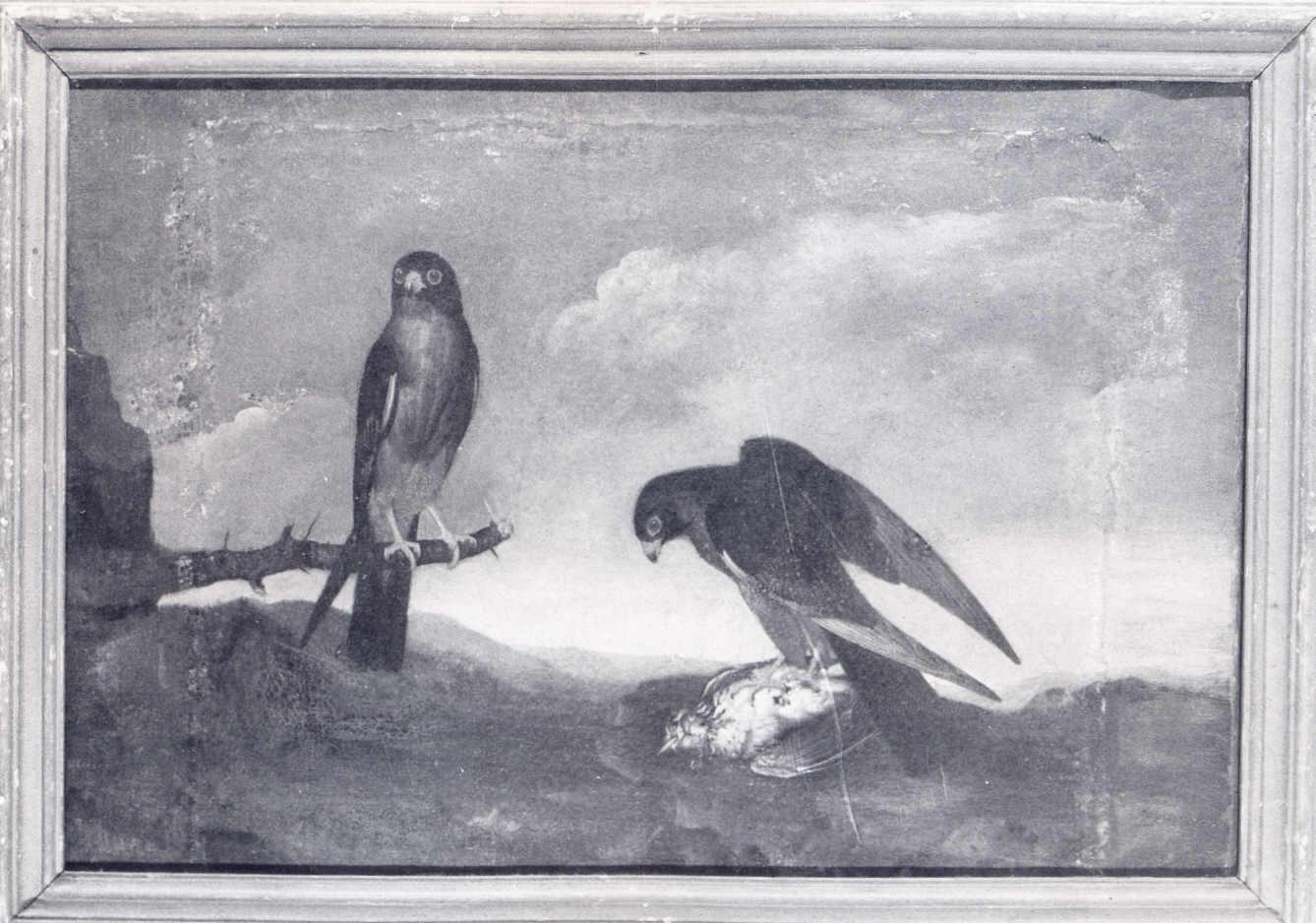 Due rapaci in paesaggio, animali (dipinto) di Enzinger Anton (attribuito) (seconda metà sec. XVIII)