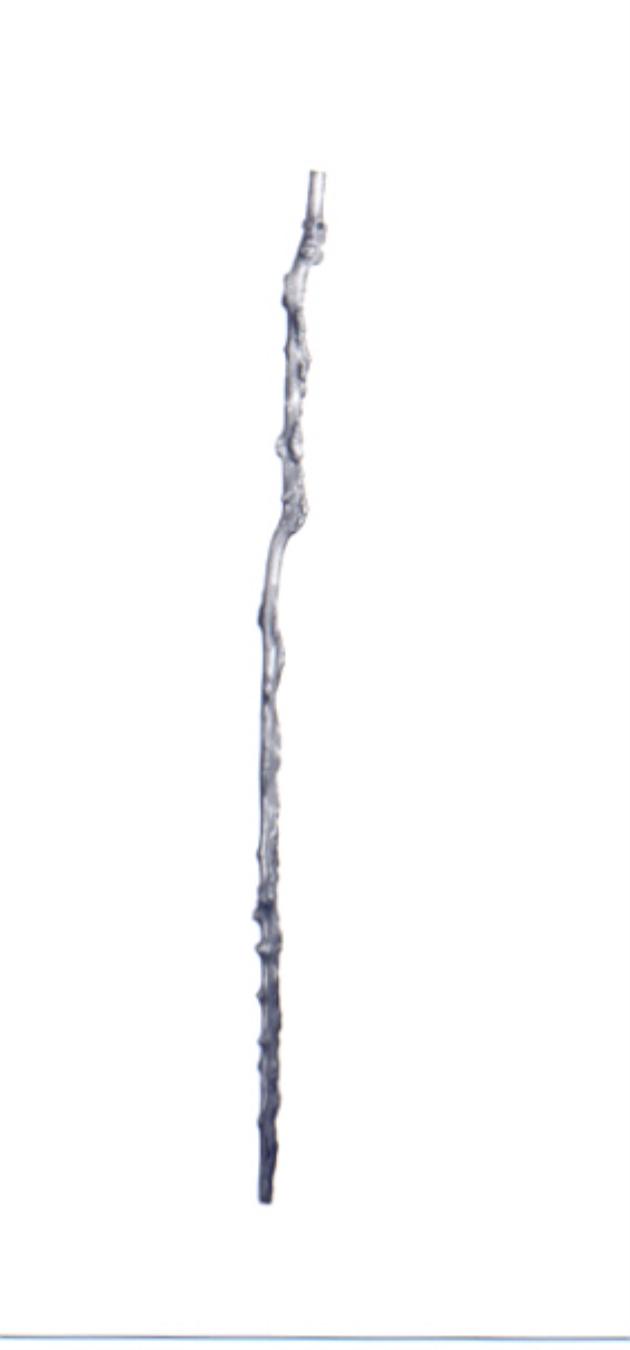 bastone - ambito europeo (secc. XIX/ XX)