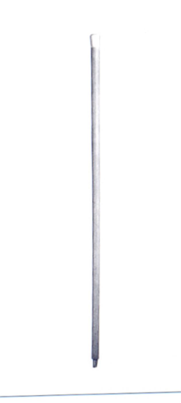 bastone da passeggio - ambito europeo (secc. XIX/ XX)